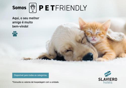 pies i kot leżący obok siebie w obiekcie BRUT by Slaviero Hotéis w mieście Balneário Camboriú