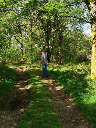 a man walking down a path in the woods at Kernad in Bersac-sur-Rivalier
