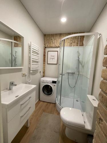 ein Badezimmer mit einem Waschbecken und einer Waschmaschine in der Unterkunft Authentic Old Town Spot in Vilnius