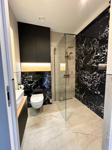 uma casa de banho com um WC e uma cabina de duche em vidro. em Apartamenty Belona em Stegna