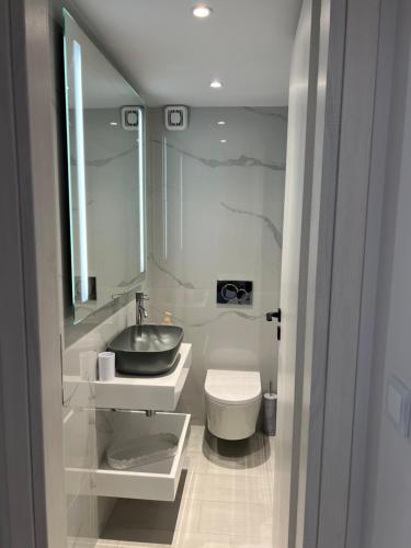 La salle de bains est pourvue d'un lavabo et de toilettes. dans l'établissement Luxury apartment, à Athènes