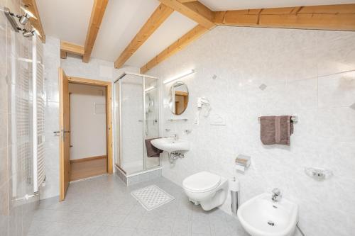 多比亞科的住宿－Klaudehof，一间带卫生间和水槽的浴室