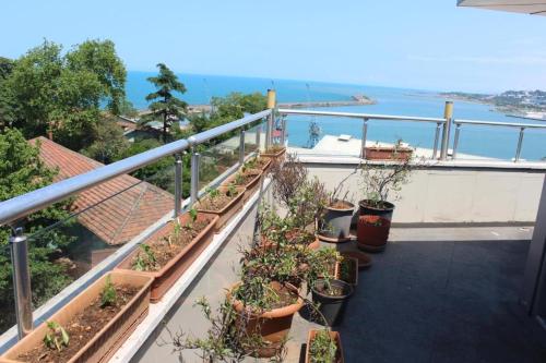a balcony with a bunch of plants in pots at Ganita Life Hotel in Trabzon