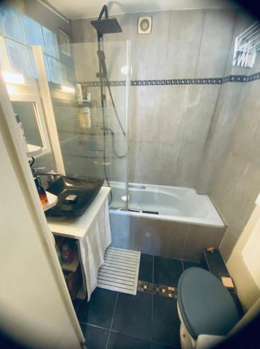une salle de bain avec une baignoire, des toilettes et un lavabo dans l'établissement Apartment Gugu Montmartre, à Paris