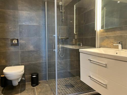 a bathroom with a shower and a toilet and a sink at Trysil Alpine Lodge in Trysil