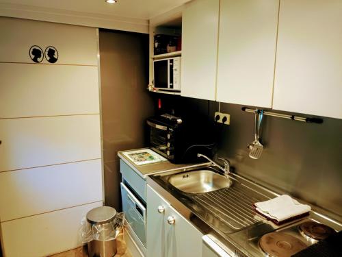une petite cuisine avec un évier et un micro-ondes dans l'établissement gîte du jardin secret, à Saint-Valery-sur-Somme