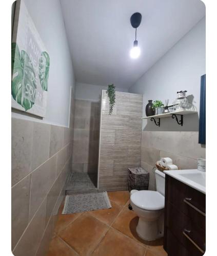 a bathroom with a shower and a toilet and a sink at Home Favorito in Tarajalejo