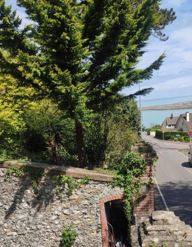 un mur de pierre avec un arbre et une route dans l'établissement Chalet vue sur mer, à Saint-Martin-Plage