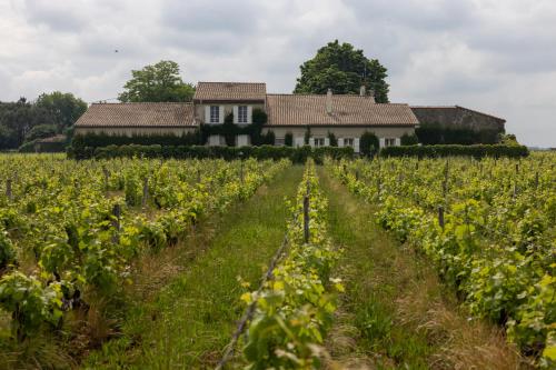 Gallery image of Le Jardin dans les vignes in Barsac