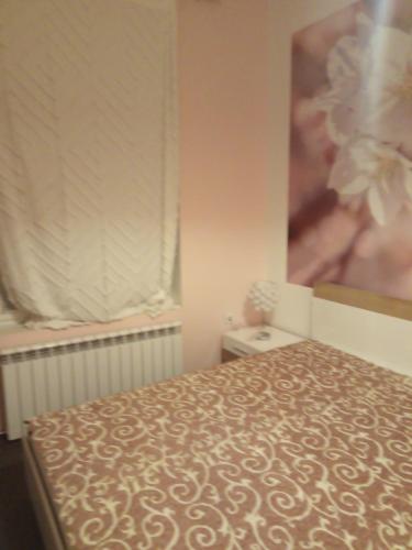 Schlafzimmer mit einem Bett und einem Fenster in der Unterkunft Къща за гости ОАЗИС in Ruse