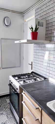 Il comprend une cuisine équipée d'un four et de plaques de cuisson. dans l'établissement Pura Vida Bayonne, à Bayonne