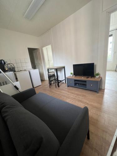 uma sala de estar com um sofá e uma televisão de ecrã plano em Charmant T3 proche de la gare em Clermont-Ferrand