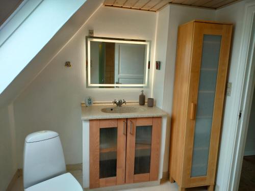 uma casa de banho com um lavatório e um espelho em Nygaard Guesthouse em Hjørring