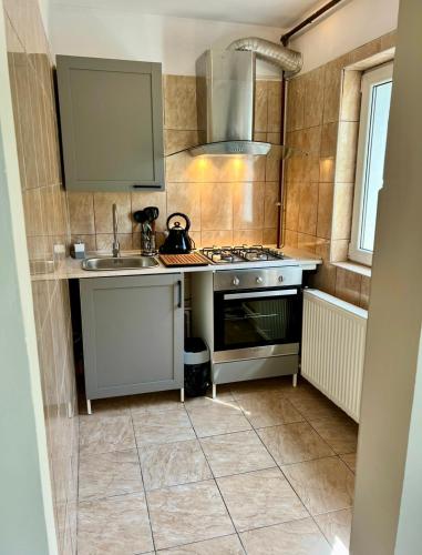 a small kitchen with a stove and a sink at Cozy studio flat in Giurgiu