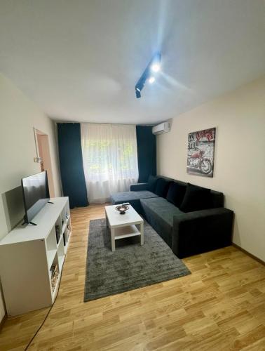 een woonkamer met een zwarte bank en een tafel bij Cozy studio flat in Giurgiu
