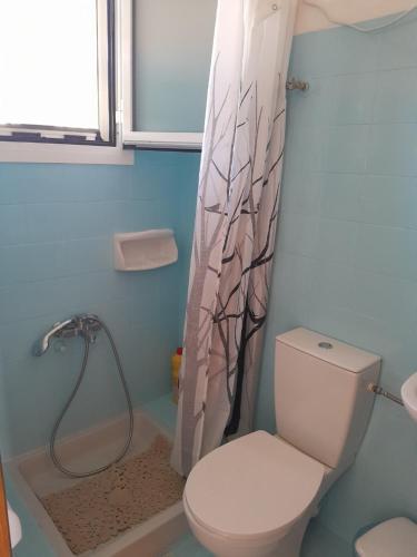 a bathroom with a toilet and a shower curtain at Santi house in Souvala