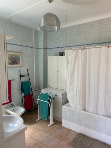 une salle de bain avec un lavabo et un rideau de douche dans l'établissement Grand Appartement dans une Maison, à Bayonne