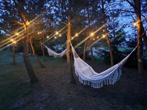 a hammock in a forest at night with lights at Roztocze Domek Letniskowy in Blizów