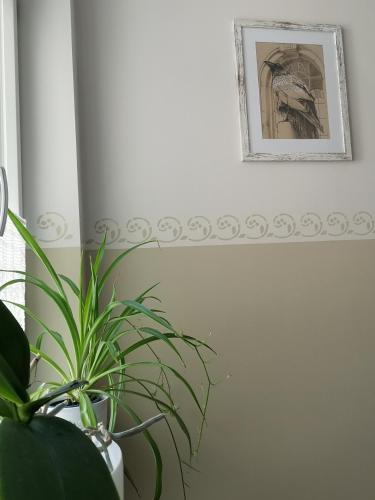 a picture hanging on a wall next to a plant at Appartements Neef in Merseburg