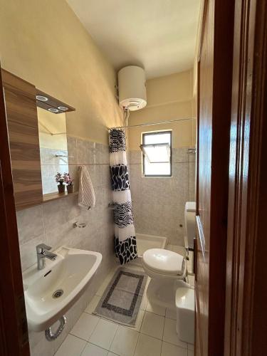 a bathroom with a sink and a toilet at Vasiliki see view apartments in Barbati