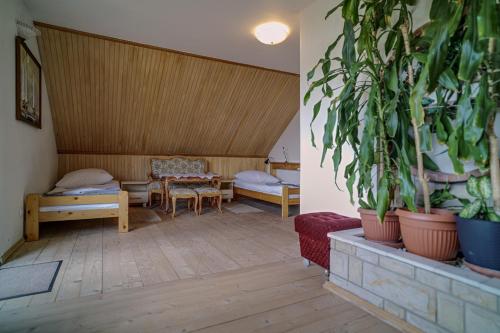 a living room with plants and a table and chairs at Apartament Kaszubski in Ostrzyce