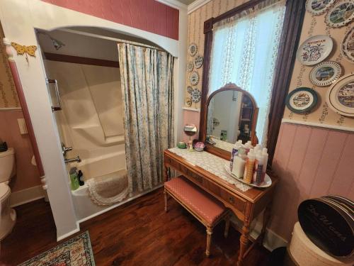 BellaireにあるApplesauce Inn Bed & Breakfastのバスルーム(鏡付きの洗面化粧台、シンク付)
