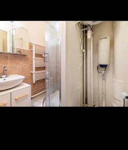une salle de bain avec douche et lavabo dans l'établissement Appart Paris vue Tour Eiffel, à Paris