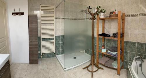 y baño con ducha y puerta de cristal. en Chambres du Clos de Bellevue, 
