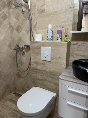a bathroom with a shower and a toilet and a sink at Lovcen Holiday Home in Cetinje