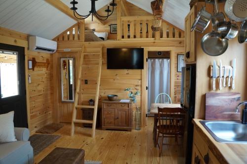 Kuchyň nebo kuchyňský kout v ubytování Moonlight Woods - Gardener's Log Cabin