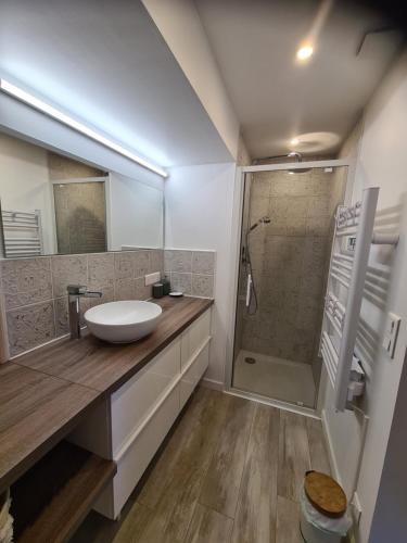 een badkamer met een wastafel en een douche bij Petit coin de paradis les pieds dans l’eau in La Londe-les-Maures