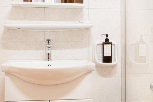 un bagno bianco con lavandino e dispenser di sapone di Hotel Domus Rome a Roma