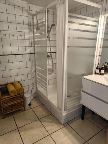 une salle de bain avec douche et lavabo dans l'établissement Les Pieds dans l'eau, Gîte Le Blagour, à Lachapelle-Auzac