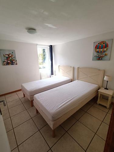 une chambre avec deux lits et une fenêtre dans l'établissement Les Pieds dans l'eau, Gîte Le Blagour, à Lachapelle-Auzac