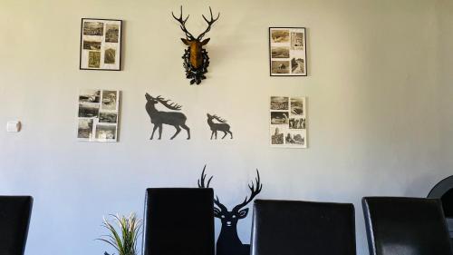 a wall with pictures of deer and a clock on it at Dom Górski - cały na wyłączność in Szklarska Poręba