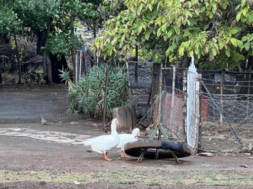 Galería fotográfica de Rooikloof Guest Farm en Sutherland
