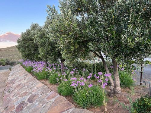 Galería fotográfica de Rooikloof Guest Farm en Sutherland
