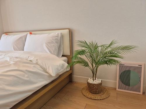 um quarto com uma cama com uma planta no chão em "GRAND OPENED" Maxtyle Guesthouse Dongdaemun em Seul