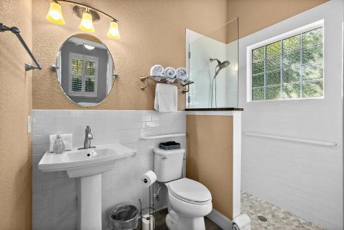 a bathroom with a toilet and a sink and a mirror at Citrus Hideaway - Steps to City Center in St. Augustine