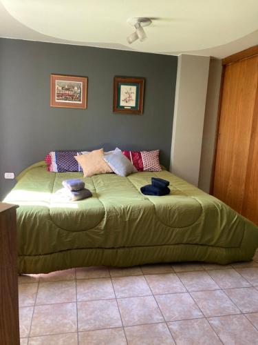 1 dormitorio con 1 cama verde grande en una habitación en Departamento Lemos en Mendoza