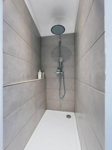 une salle de bain avec une douche avec pommeau de douche dans l'établissement L'Ajax Appartement T3 centre et Bord de mer, à Ajaccio