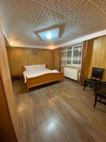 1 dormitorio con 1 cama grande en una habitación en Sinaia Rooms 25, en Sinaia