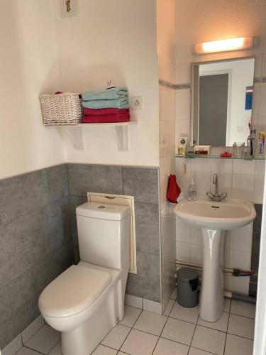 une salle de bain avec toilettes et lavabo dans l'établissement Le Boisvinet de la plage, à Saint-Gilles-Croix-de-Vie
