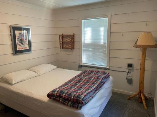 1 dormitorio con cama, lámpara y ventana en New! Birch Cove Bungalow - Gorgeous Lakefront! en Honor