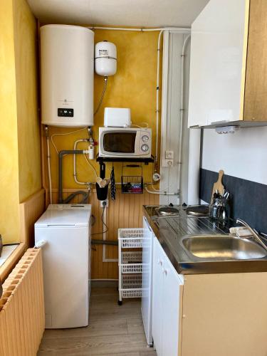 une petite cuisine avec un évier et un micro-ondes dans l'établissement Studio 18m2 centre bourg, à Lazenay