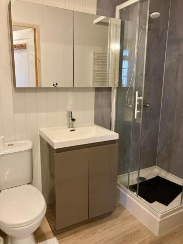 une salle de bain avec toilettes, lavabo et douche dans l'établissement Studio 18m2 centre bourg, à Lazenay