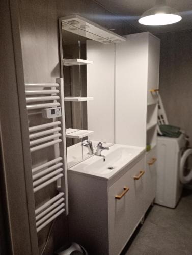 une salle de bain avec un lavabo et un miroir dans l'établissement Maison de vacances La Menou, à Saint-Pierre-dʼOléron