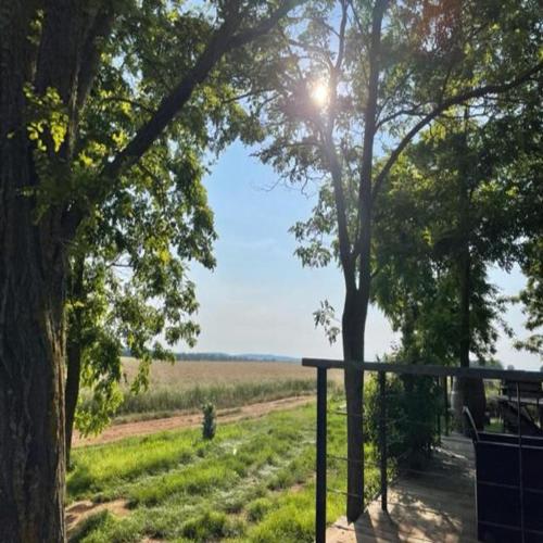 a view of a field with the sun shining through trees at La roulotte du verdon in Quinson
