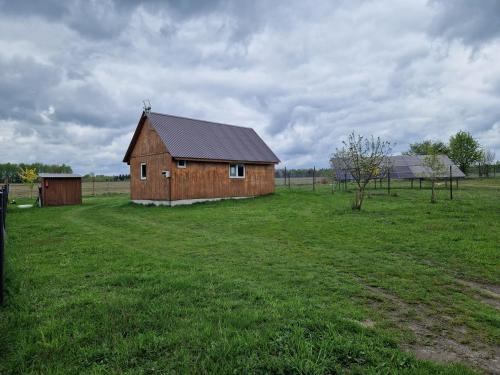 une grange dans un champ avec un champ vert dans l'établissement Eurostruś - zoo, domki, à Borzychy