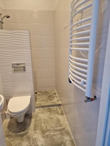 La salle de bains est pourvue de toilettes et d'un lavabo. dans l'établissement Apartamenty Zakonne "Apartament Rycerza", à Malbork